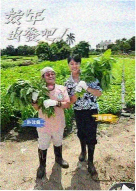 天堂网在线视频观看 大侦探